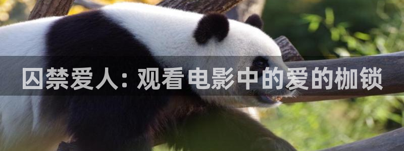 秋霞电影手机看片