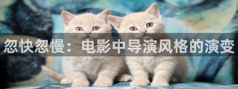 77秋霞电影