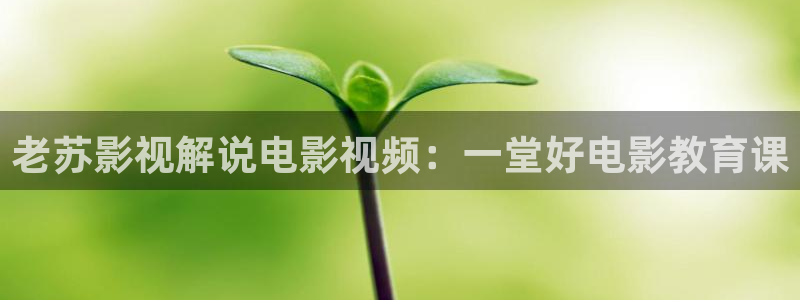 午夜影院神马秋霞电影