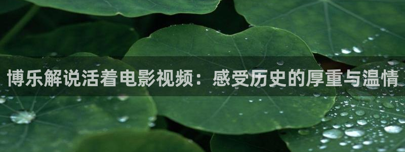 80s电影秋霞网