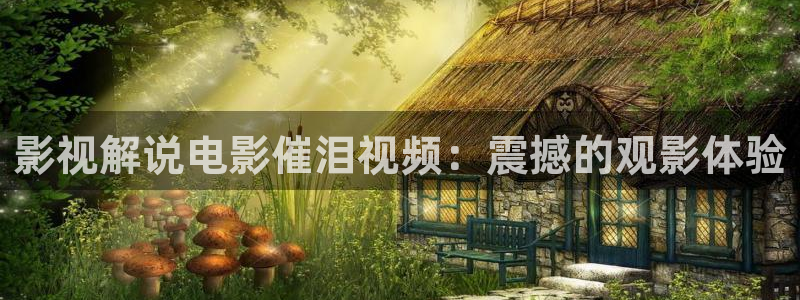 ,秋霞网