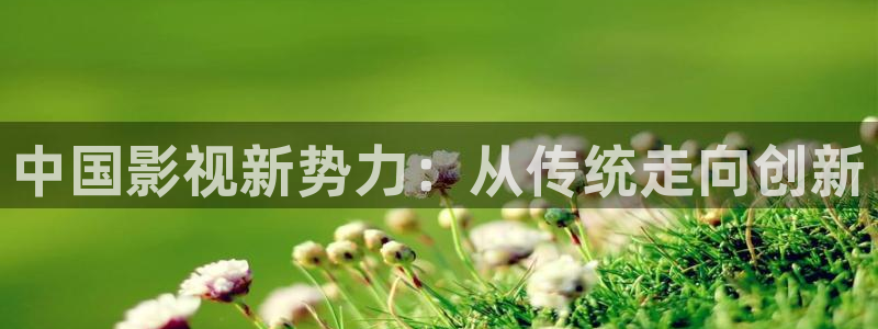 秋霞特黄大片：中国影视新势力：从传统走向创新