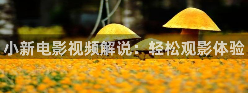 秋霞在线观看伦理片：小新电影视频解说：轻松观影体验