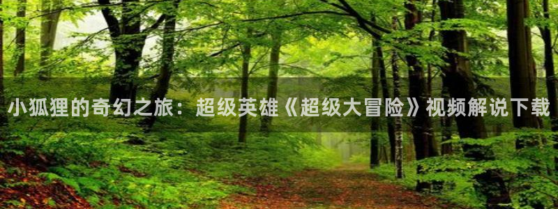 神马影院第七秋霞：小狐狸的奇幻之旅：超级英雄《超级大冒险》视频解说下载